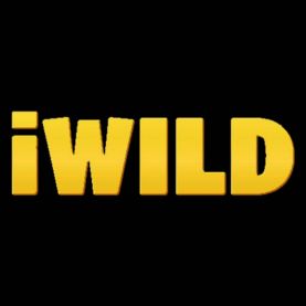 iWild casino programa VIP